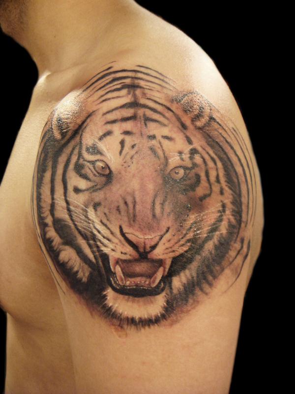 Tiger tattoo - 50 ảnh vui nhộn Animal Tattoo Designs <3 <3