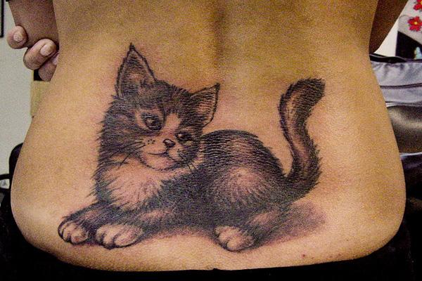 Gatinho - 50 ảnh vui nhộn Animal Tattoo Designs <3 <3