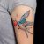 100 Lovely Swallow Tattoos Cuded