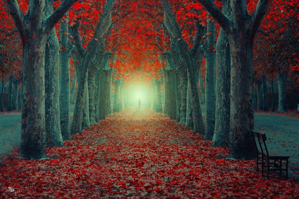 http://www.cuded.com/wp-content/uploads/2015/01/Ildiko-Neer-One-Life.jpg