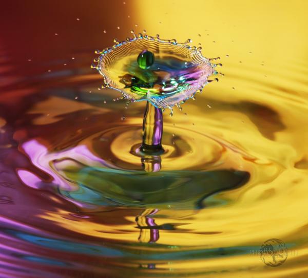 Fantastic Water Drops Photography | Art and Design