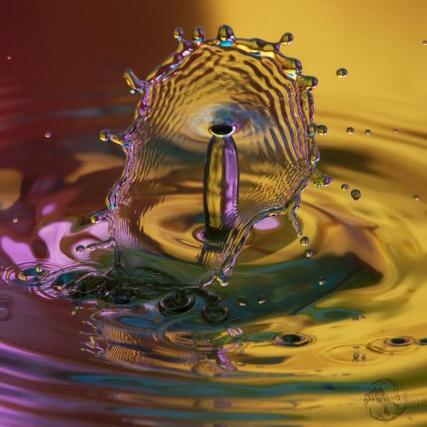 Fantastic Water Drops Photography | Art and Design