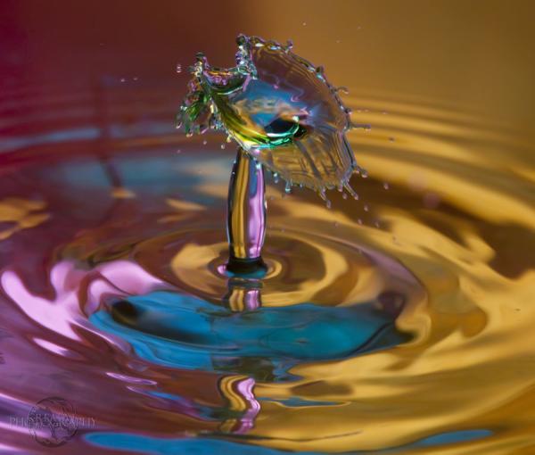 Fantastic Water Drops Photography | Cuded