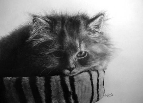 Pencil Sketches by Paul Lung | Art and Design