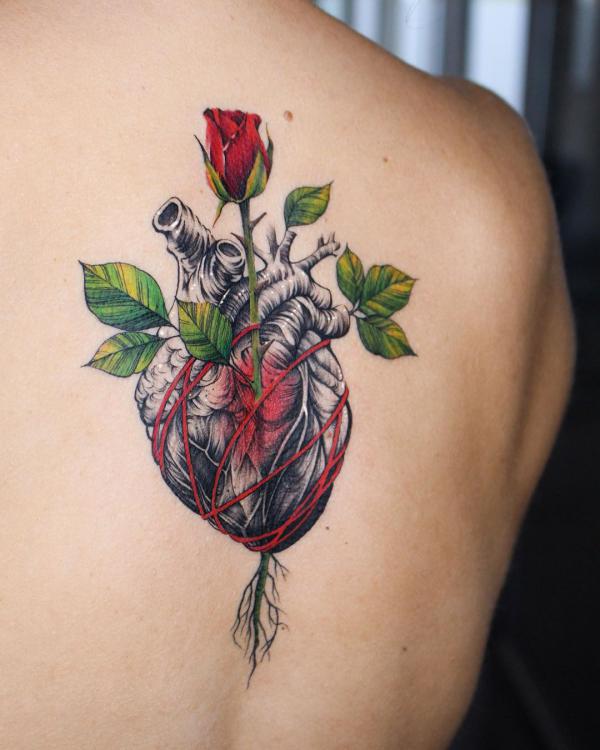 Rose in heart