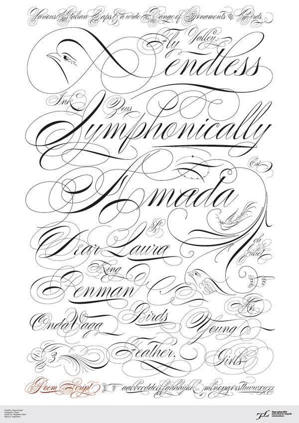 Typography by Ale Paul | Art and Design