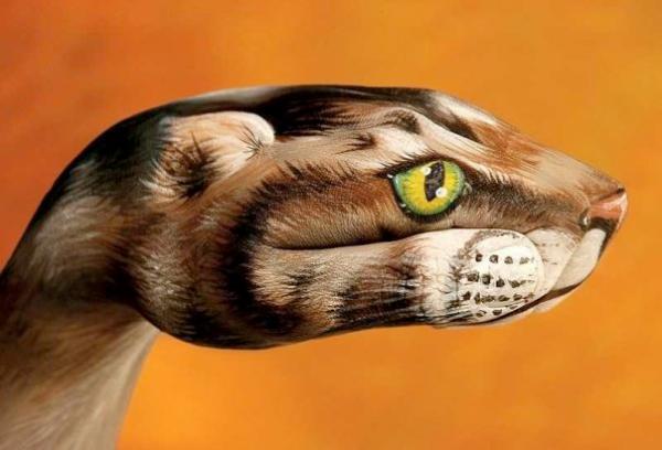 Incredible Hand Paintings by Guido Daniele | Art and Design