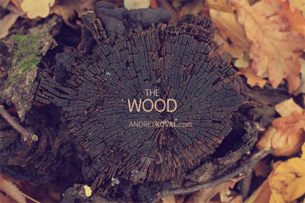 THE WOOD BY Andrey Koval | Art and Design