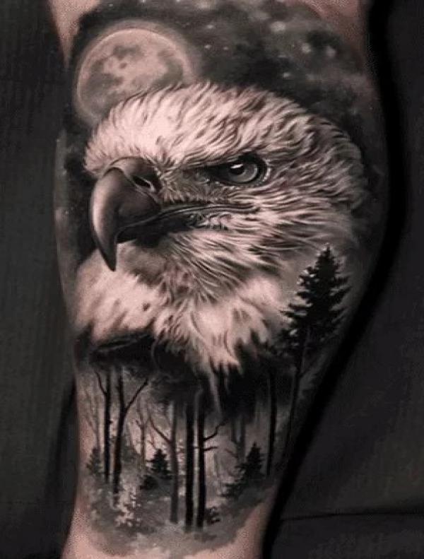 Harpy Eagle & Skulls  Cool chest tattoos, Chest tattoo men, Chest