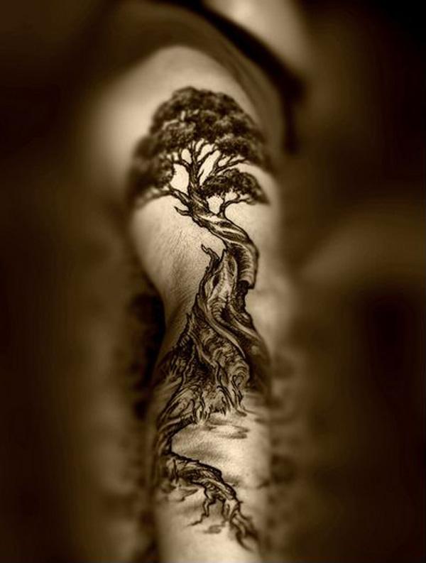 Pine tree side rib tattoo  Tattoos on side ribs Tree tattoo designs  Pine tattoo