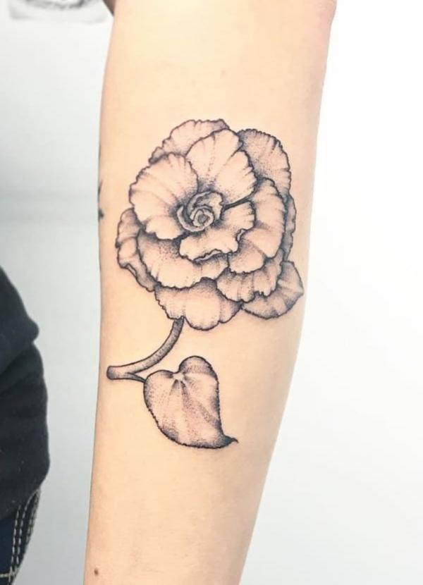 Begonia 'Hocking Tattoo' | plant lust