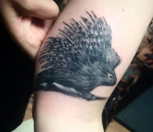 Porcupine Tattoo