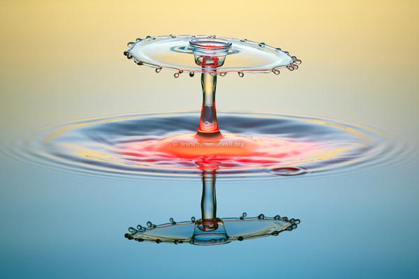 Incredible Water Drops Photos by Daniel Nimmervoll | Art and Design