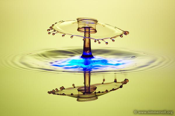Incredible Water Drops Photos by Daniel Nimmervoll | Art and Design