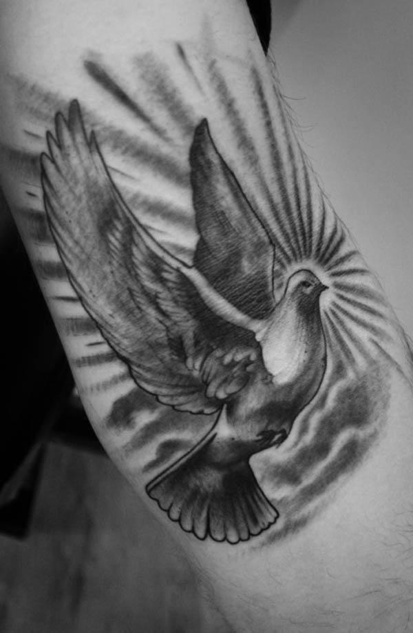 white dove tattoo on chest