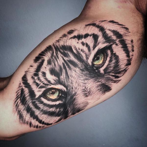 cool 60 Awe-inspiring Tiger Tattoo Ideas - Take a Great Pride In Check more  at http://stylemann.com/best… | Tatuagens dentro do braço, Tattoo olhos,  Tatuagem animal