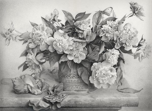 Missed Flower Pencil Drawing By Paul Anton | absolutearts.com