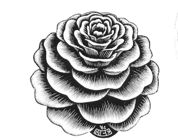 Flower Sketch Vector Images over 170000