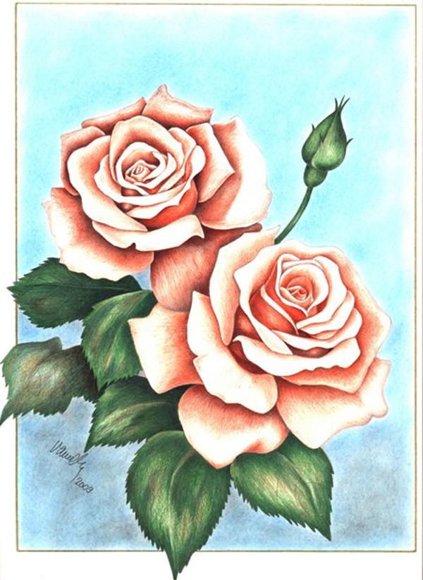 Rose Flower Drawing Beautiful Image  Drawing Skill