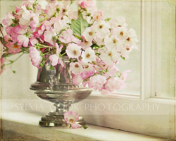 The beauty of Pink flowers | Art and Design