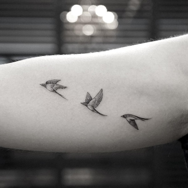 Tattoo Swallow Isolated Stock Illustrations – 1,954 Tattoo Swallow Isolated  Stock Illustrations, Vectors & Clipart - Dreamstime
