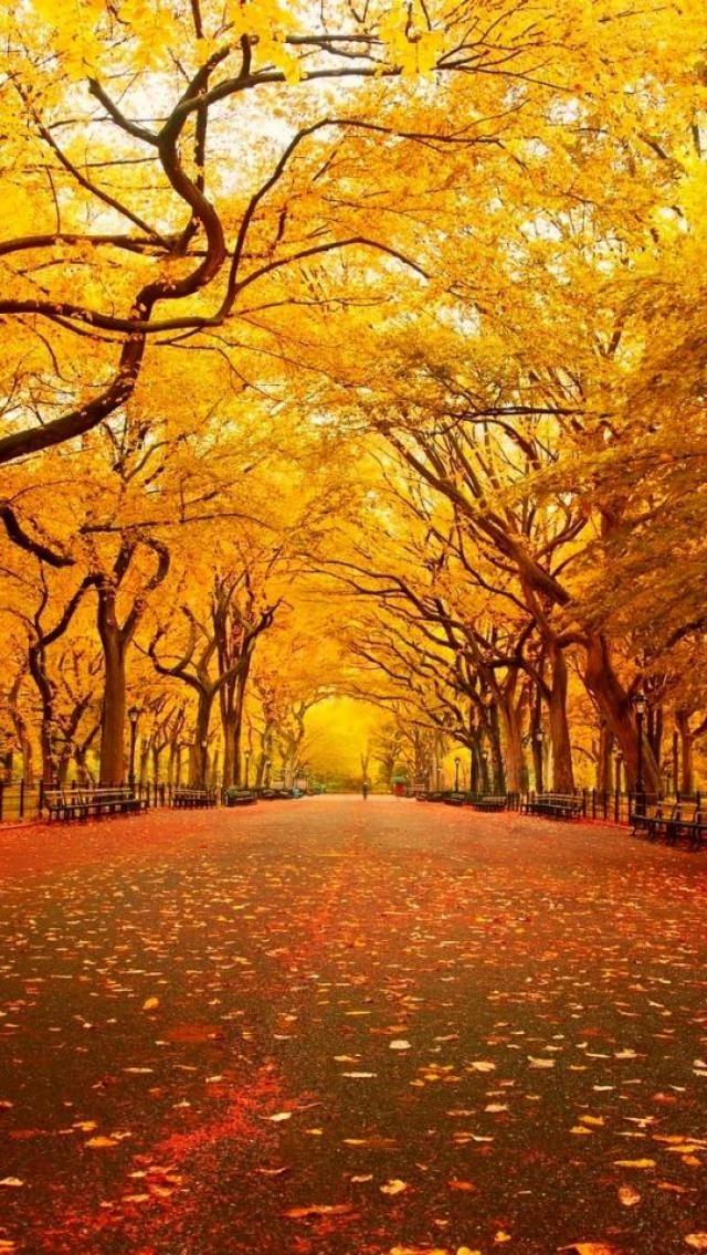 20 Beautiful Fall Pictures | Art and Design