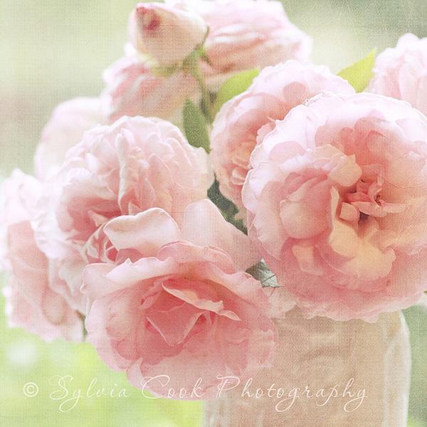 Vintage Flowers by Sylvia Cook | Art and Design