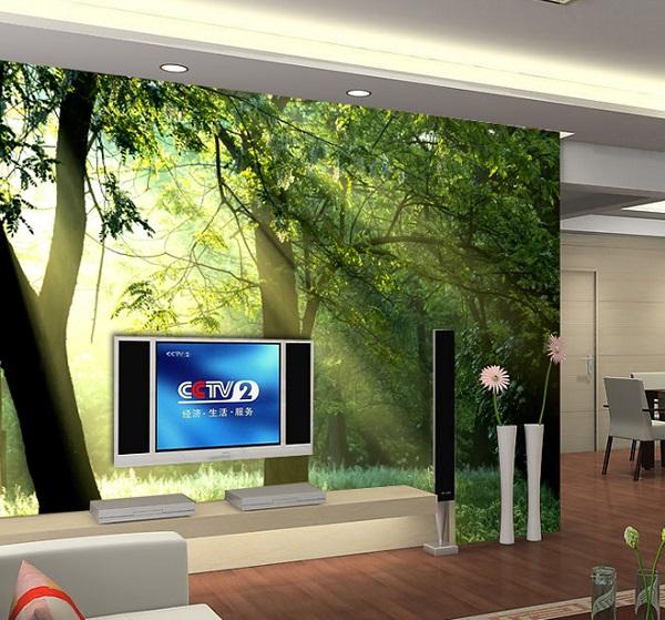 50 Inspirational TV Wall Ideas Art and Design