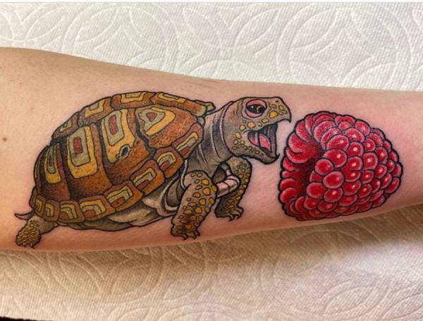 tortoise' in Tattoos • Search in +1.3M Tattoos Now • Tattoodo