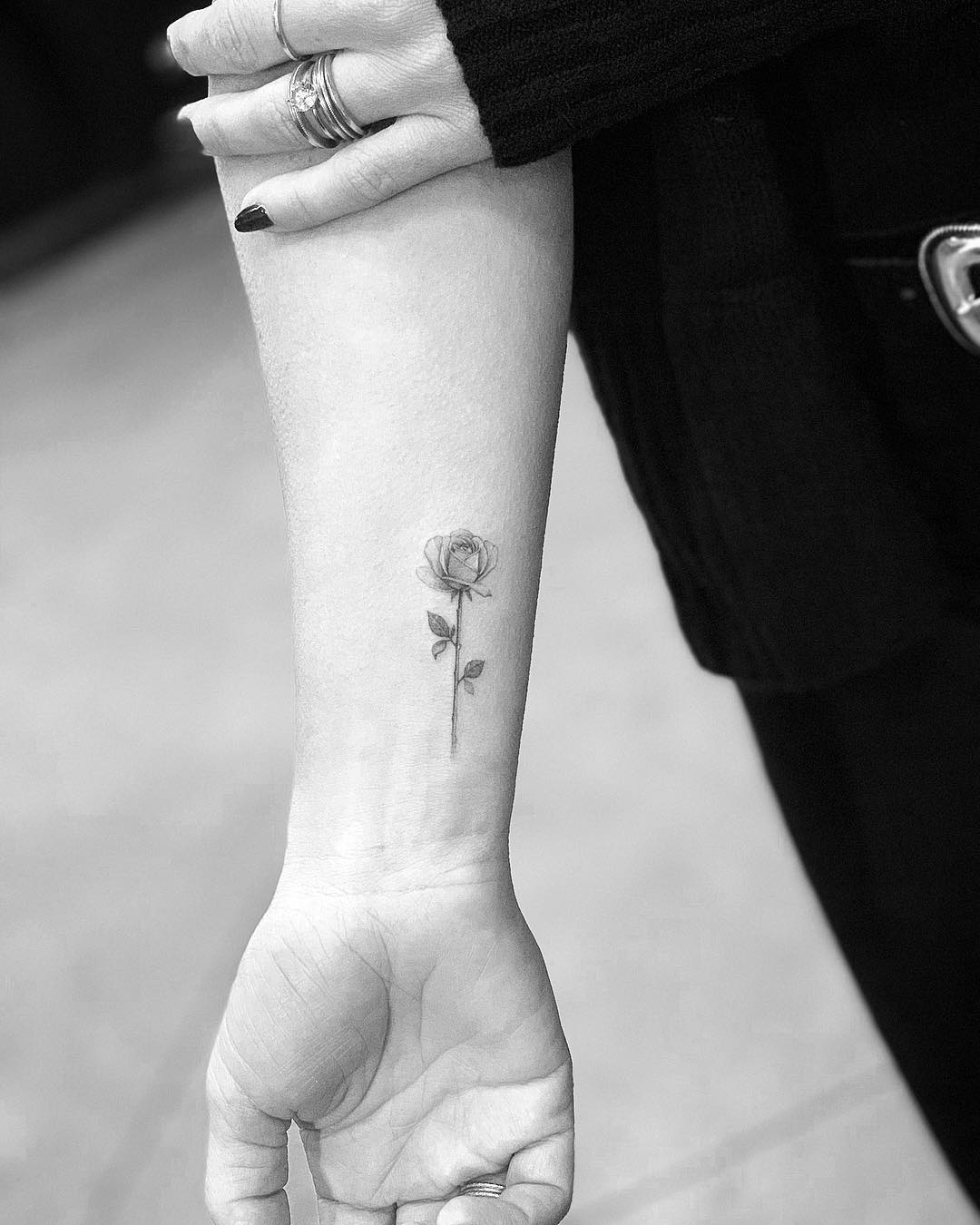 JC López - Sicarel Tattoo - Snake Rose (piel mulata) . . . .  ————————————————————- #sicarel #tattoo # #tattoos #tattooartist #tat #ink  #inked #tattooed #tattoist #art #minimalist #design #instaart #instagood  #itatted #instatattoo #