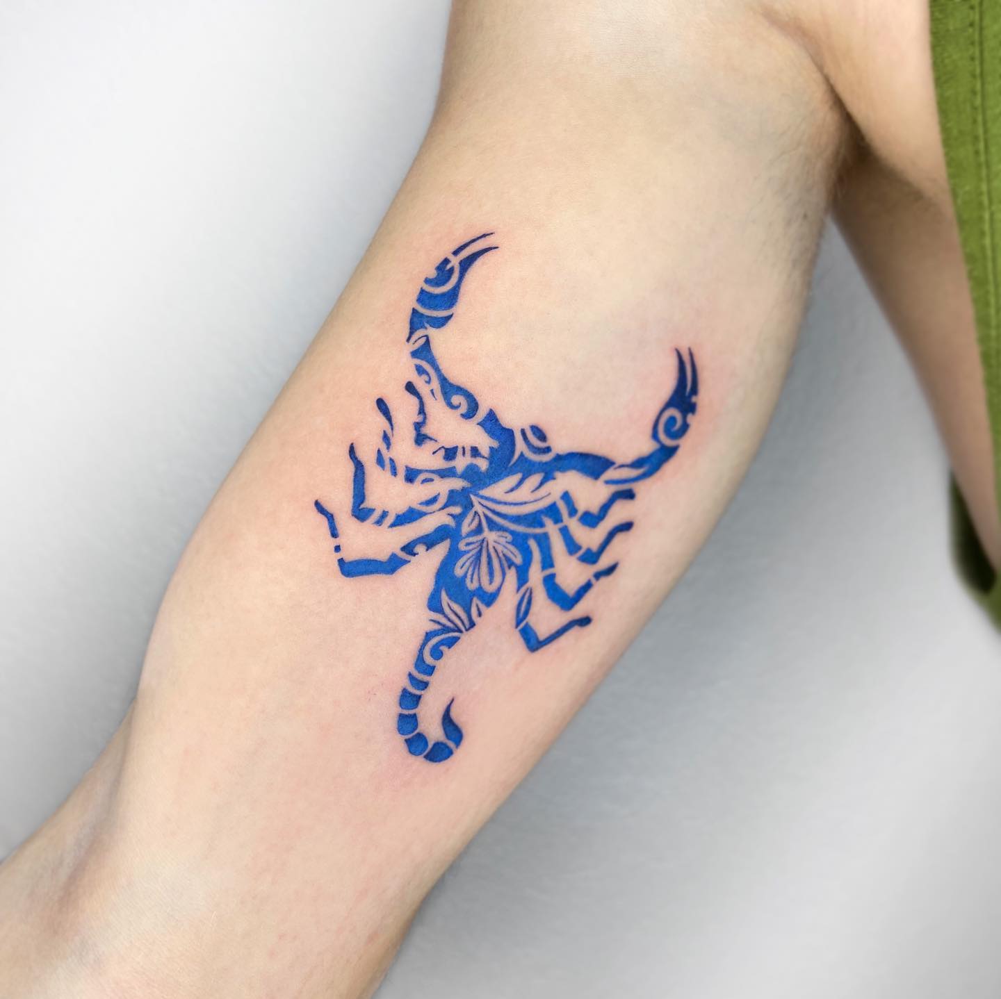3D (The Canvas Arts) Temporary Tattoo Waterproof For Men & Women, Wrist,  Arm Hand, Back, Navel (Scorpion Tattoo) Size 21X15 cm HB-053 : Amazon.in:  Beauty