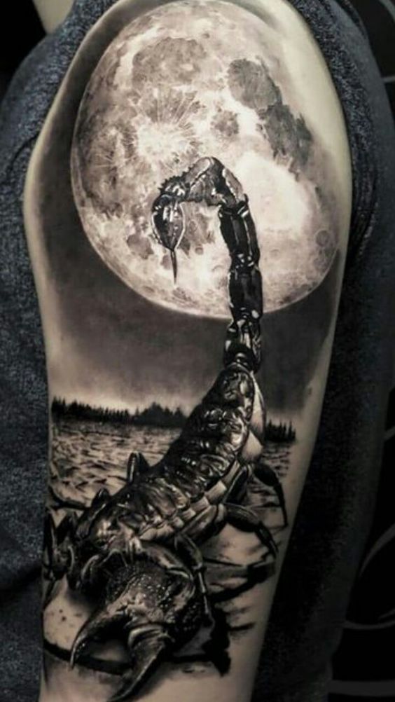 Tattoo uploaded by Imperial ink tattoos • #scorpiontattoo #scorpion #scorpio  #realism #realistic #realistictattoo #realistictattoos #blackandgrey •  Tattoodo