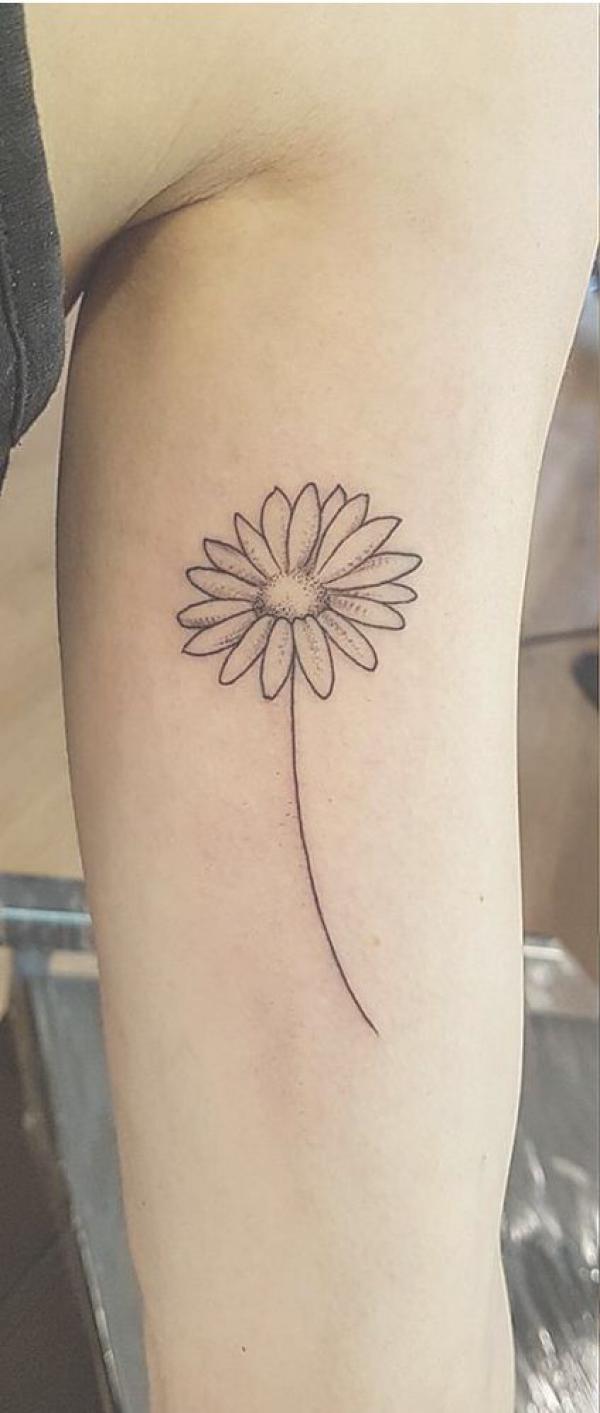 Daisy Flower Tattoo - Best Tattoo Ideas Gallery