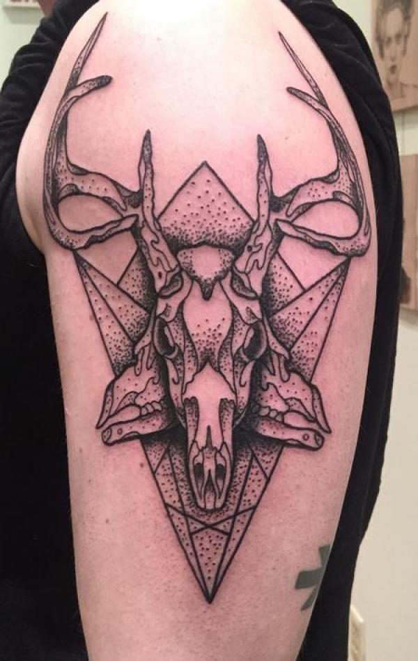 Deer skull by Dan @dan.bloxham #agency #agencytattoo #tattoo #tattoos  #ōtepoti #nz #blackandgreytattoo #backtattoo #skulltattoo #deersk... |  Instagram