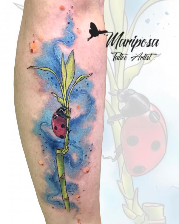 Ladybird tattoo by Claudia Denti | Post 23991