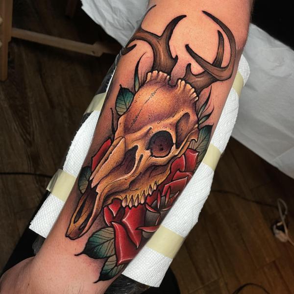 Art Immortal Tattoo : Tattoos : Animal : Skull Snake Tattoo Arm