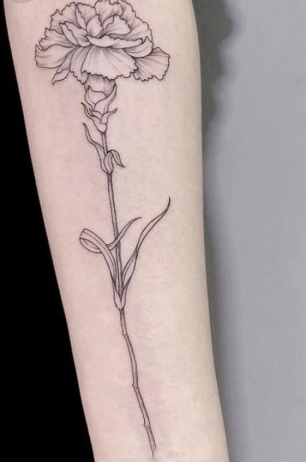 Photo | Image result for simple carnation tattoos from my tu… | Flickr