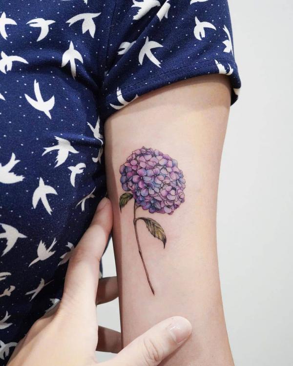 50 Hydrangea Tattoo Designs with Meanings | Art and Design