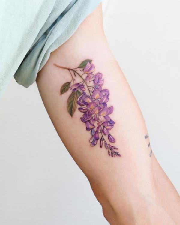 Wisteria Tattoo Ideas Designs and Meanings Art and Design