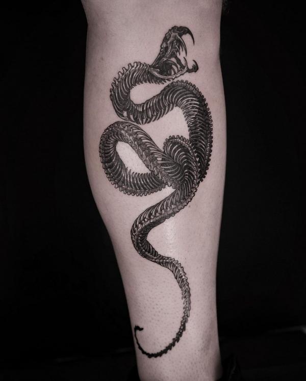 Tattoo Snake Skeleton Vector Images (over 780)