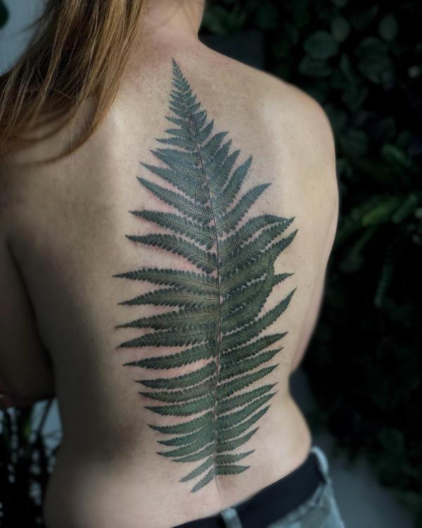 Minimalistic Fern Tattoo: Delicate Floral Design with Naturalistic Shadows  Stock Illustration - Illustration of black, natural: 292681920