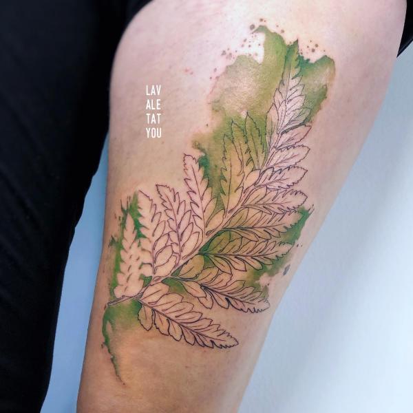 Fern tattoo | Fern tattoo, Tattoos, Sleeve tattoos