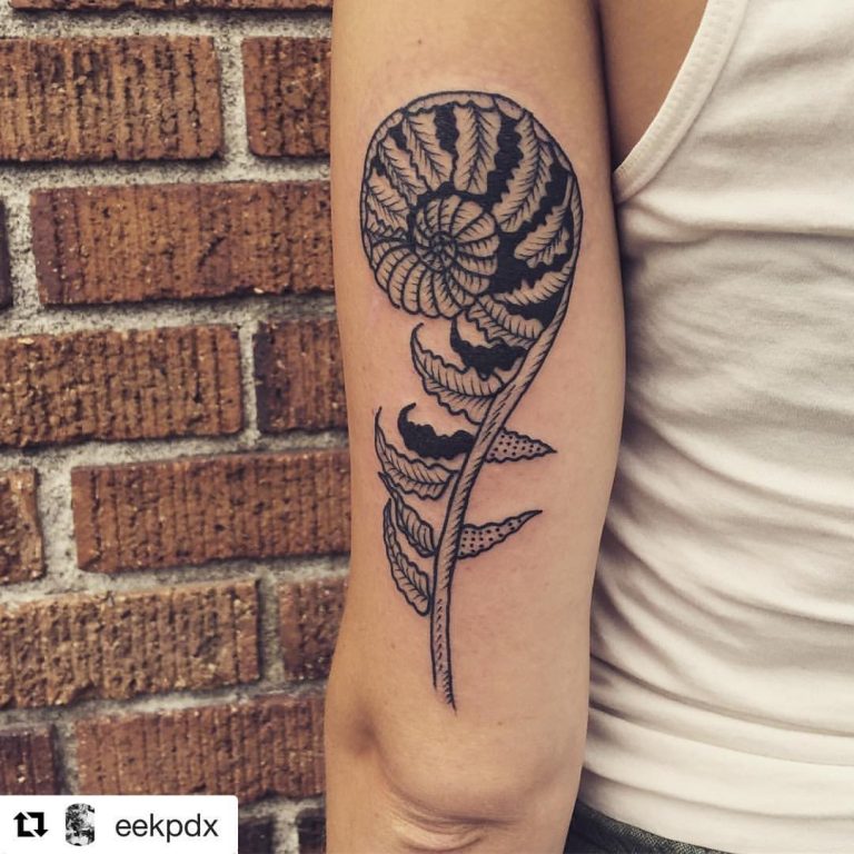 50 Fern Tattoo Designs with Meaning Art and Design