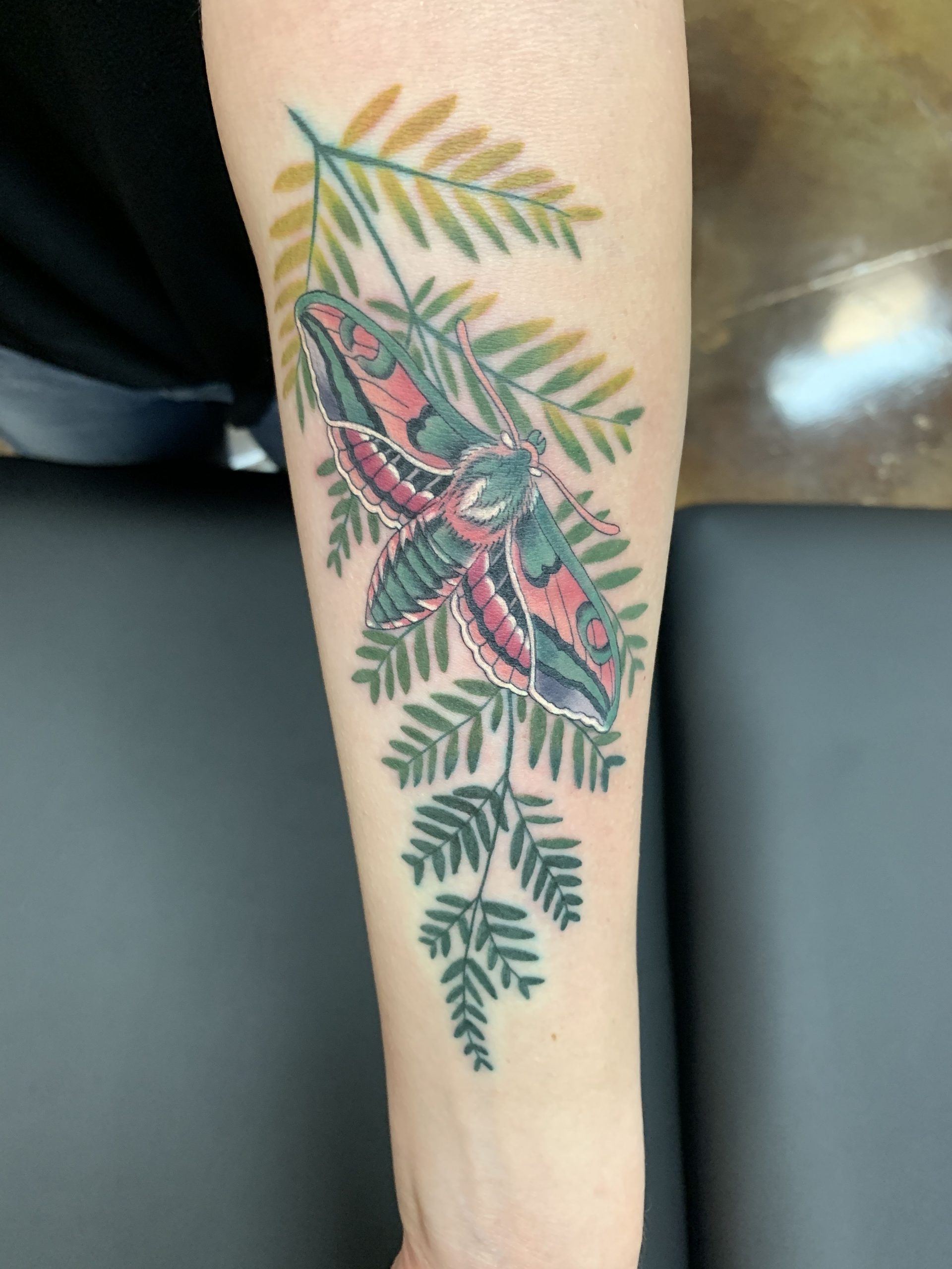 50 Fern Tattoo Designs with Meaning, ellie tattoo meaning - thirstymag.com