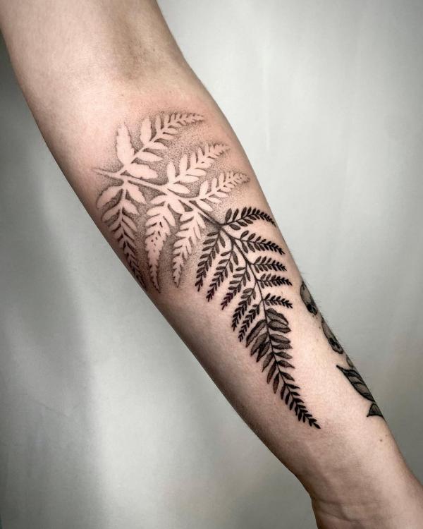 A quiet little silver fern for Jody Alida mom, thank you so so much I am  super glad that I tattoo you | Instagram