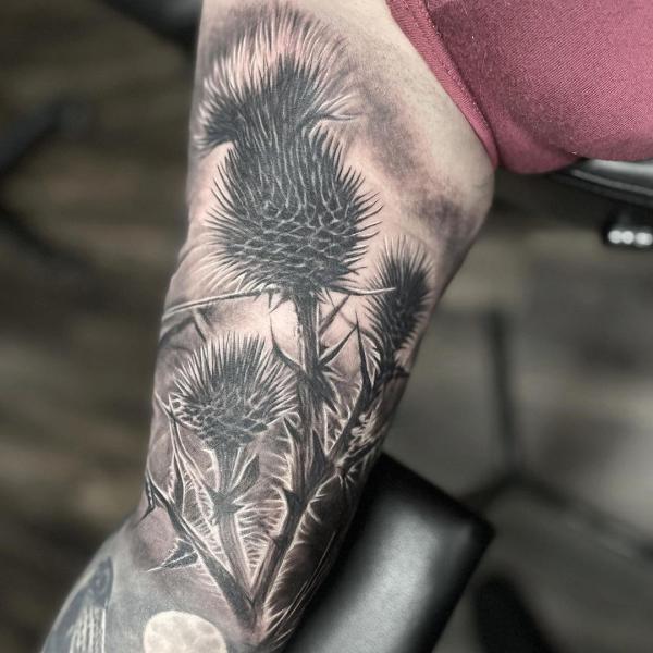 Thistle Flower Tattoo - Best Tattoo Ideas Gallery
