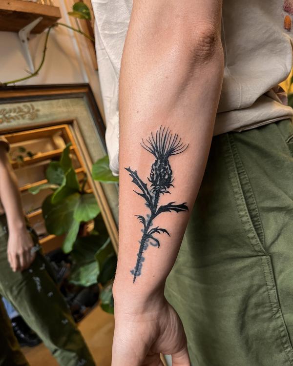 100 Thistle Tattoo Designs with Meaning Art and Design