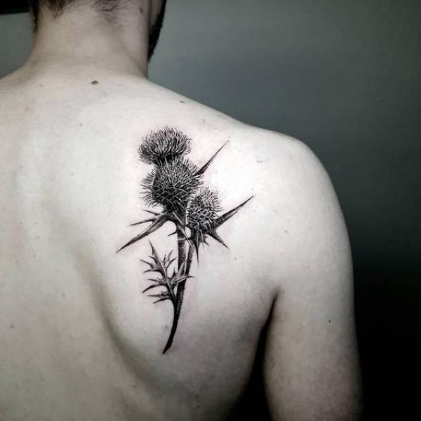 Scottish thistle 💜 in honour of the homeland and the sacredness of our  roots! #livingprayertattoo #tattoo #tattoolove #tattoos #tattoo... |  Instagram