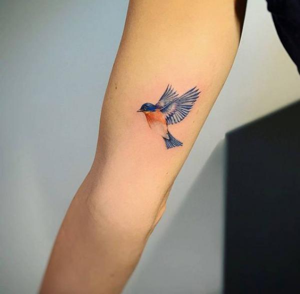 Everyone saying the same thing as man gets bizarre Ryanair tattoo on his  arm | The Irish Sun