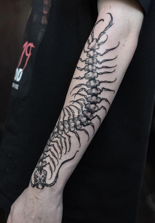 60 Centipede Tattoo Designs With Meaning | Art and Design